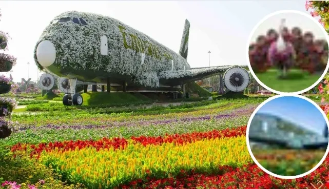 Dubai Miracle Garden and Global Village Tour